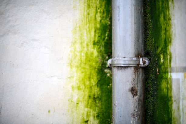 Urban details in Italian town: Moldy gutter