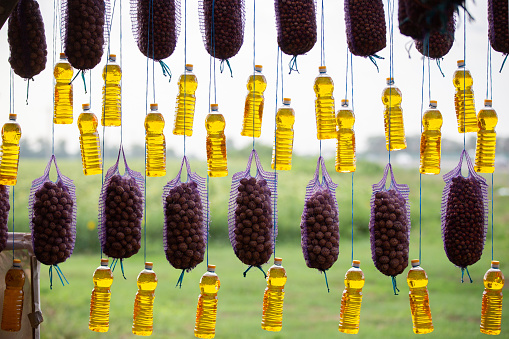 Sunflower oil and potatoes are sold at the agricultural fair. The goods are beautifully hung on ropes.