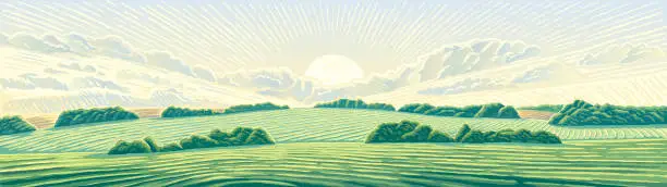 Vector illustration of Morning rural landscape with hills, an panoramic format.