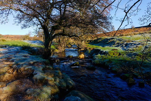 On the banks of the fast flowing Burbage Brook on a frosty November morning.