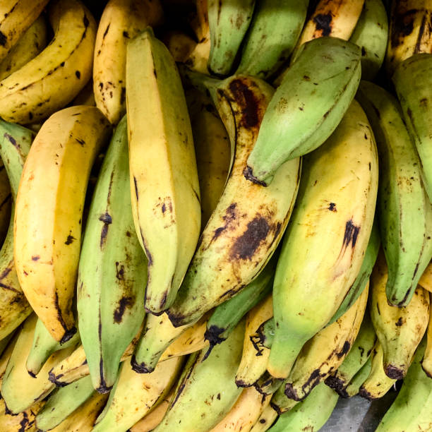 Raw bananas for retail sale