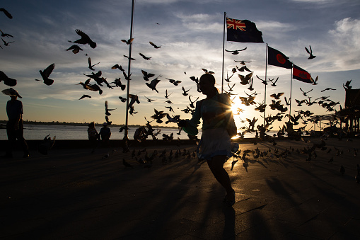 People run through a flock of pigeons during a beautiful evening sunset in the capital city of Phnom Penh, Cambodia