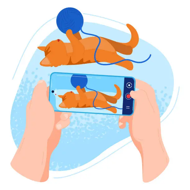 Vector illustration of Hands holding smartphone taking picture of ginger cat playing with yarn ball. Cat photography and pet moments vector illustration