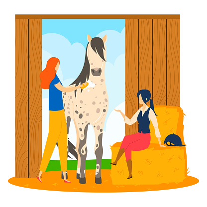 Two women grooming a horse in stable, redhead brushing, equestrian care. Horse barn, stable activities, horse care routine vector illustration.