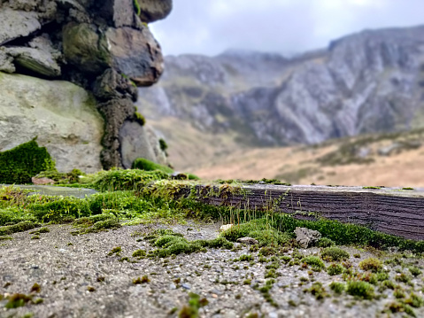 Close up of moss growing on a stone built shepards hut window cil. Mountains in the background.