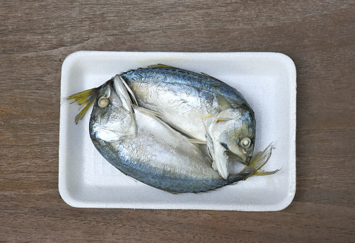 The short mackerel fish put on the food grade foam tray for sale.