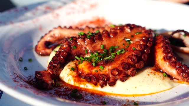 delicious dish of grilled octopus on mashed potatoes