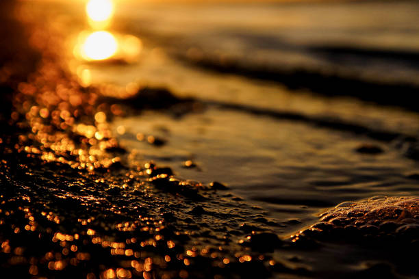 istock river bank at sunset in summer 1922565483