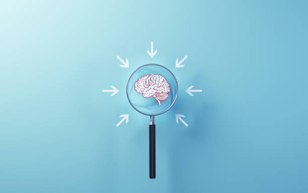 istock Human Brain Examination with Magnifier, Idea and thought Concept 1922566583