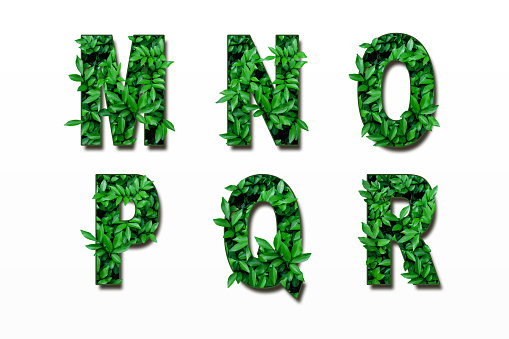 Leaf font isolated on white green gradient background. Leafs font made of Real alive leaves with Previous paper cut shape of font for letters and words.