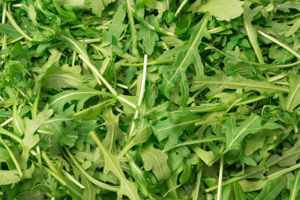 istock Fresh leaves of arugula as a background. 1922590586