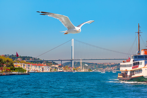 Sea voyage with old ferry (steamboat) on the Bosporus - Ortakoy mosque and Bosphorus bridge - Istanbul, Turkey