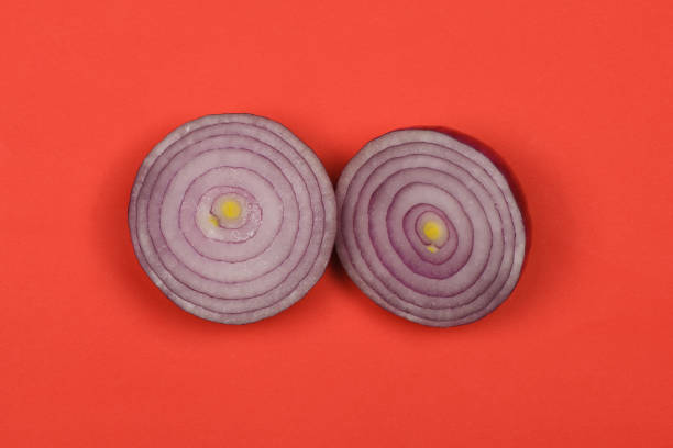 Sliced red onion rings isolated on red background. High resolution photo. Full depth of field.