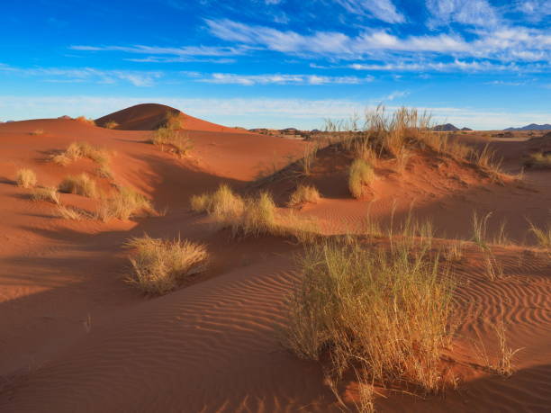 istock Sans dune in desert landscape 1922636860