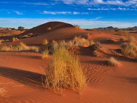 Panorama of the Sossusvlei, Namibia