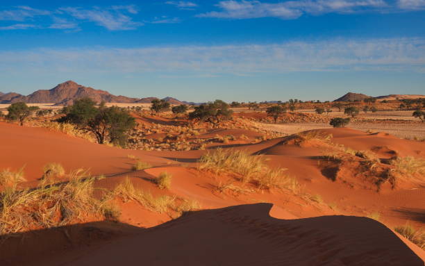 istock Sans dune in desert landscape 1922644298