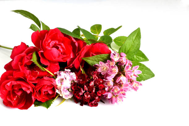 istock Greeting card with flowers. 1922661790