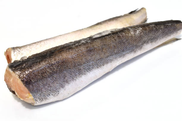 istock Fresh hake fish isolated on white background. 1922663419