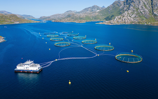 Salmon farm aquaculture in a fjord in Norway, Scandinavia