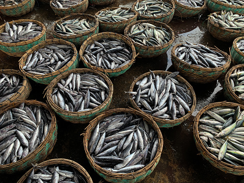 Fresh small tuna fish in basket at traditional market