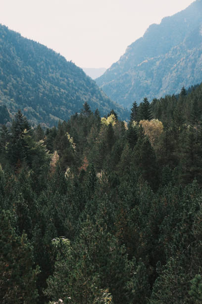 vall de boi - vall de boi zdjęcia i obrazy z banku zdjęć