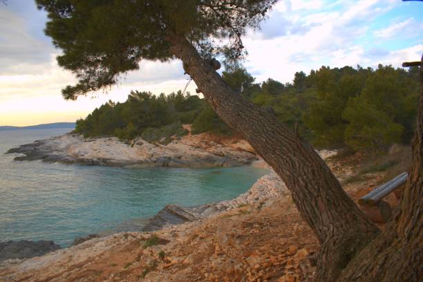 istock Croatia, Premantura 1922736850