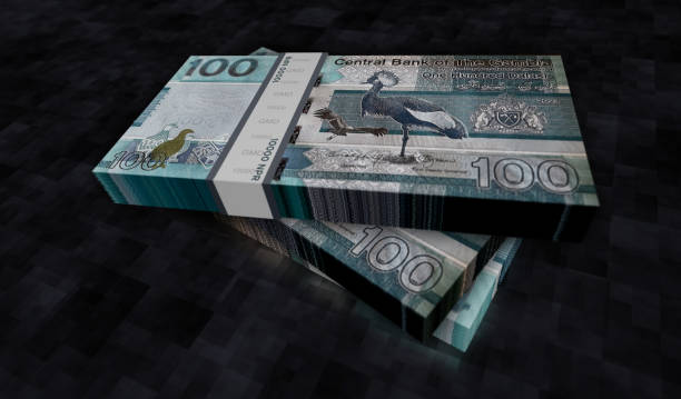 istock Gambia dalasi money banknotes pack 3d illustration 1922771212