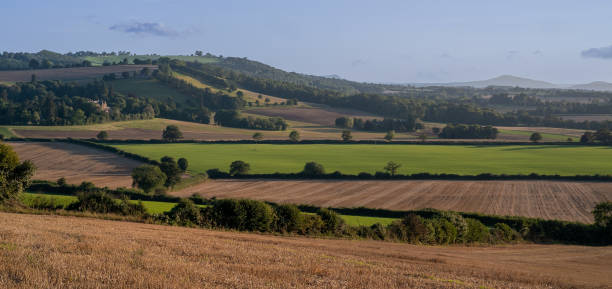 istock Panoramic view over rolling english countryside at sunset in summer under blue sky 1922783961