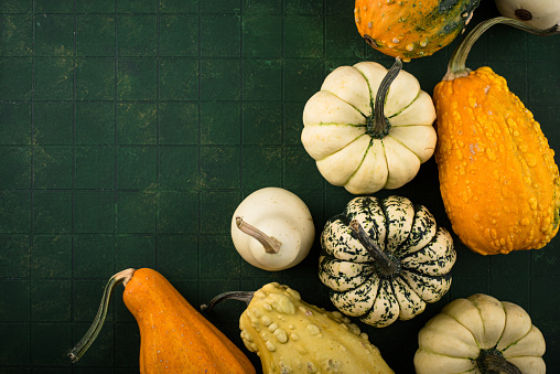 Decorative pumpkin on green background. Autumn concept