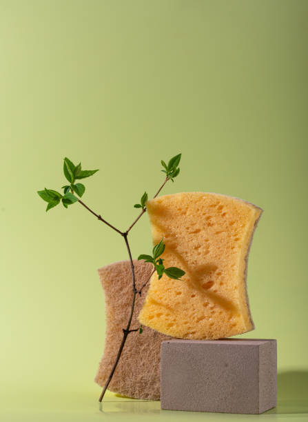 istock Eco cleaning with sponges, sustainable concept 1922795805