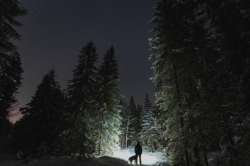 A man walks with a husky dog in the forest under the starry sky in winter. High quality photo