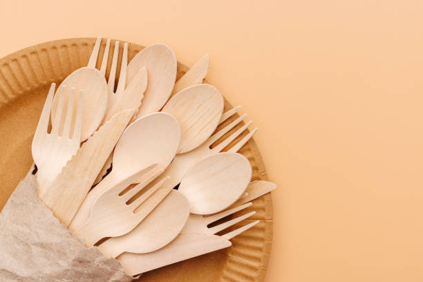 istock Eco-Friendly Wooden Cutlery on Disposable Plate 1922804176