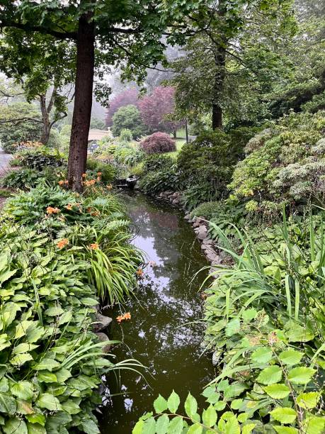 istock Halifax Public Garden 1922828430