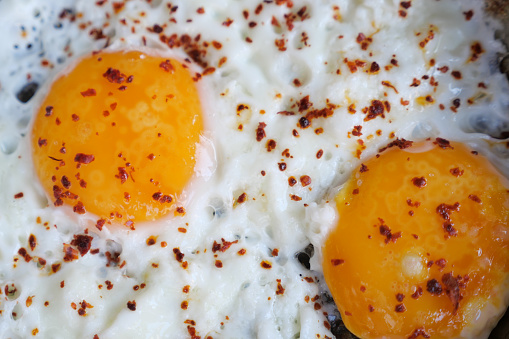 Denver or western omelet with hashed browns and wheat toast on a plate in the morning sun.