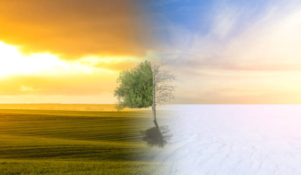 istock Season change from winter to summer at sunset concept. 1922854085
