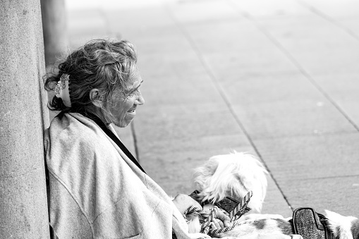 Sydney, Australia - January 07, 2024: Homeless old woman sitting in Pitt street with her two dogs, black and white