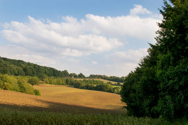 istock View over fields in English countryside during summer on cloudy day. 1922867182