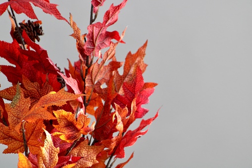 A bouquet of tree branches with orange maple leaves and pinecones.