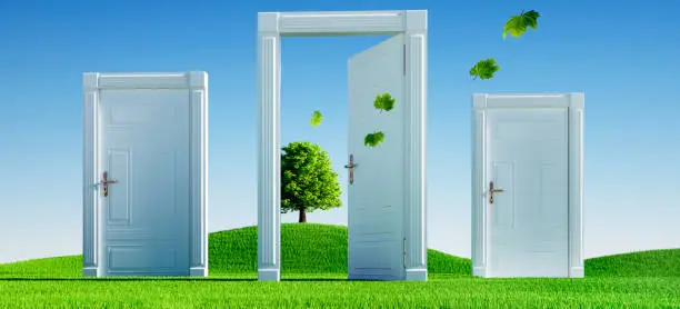 Photo of Three classic  doors on a green sunny meadow