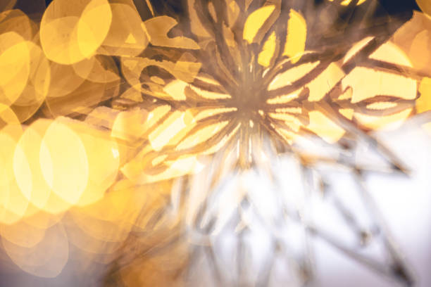 Christmas background with decorative snowflake and bokeh lights. Greeting card design. Copy space.