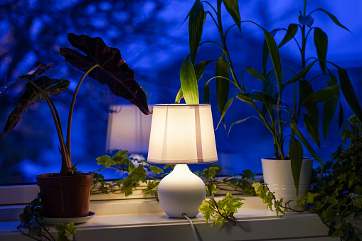 Glowing night lamp on the window with green flowers