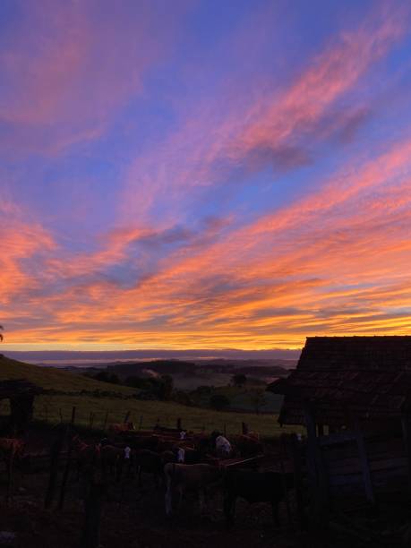 istock A painting in the sky 1922951202