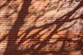 Clay bricks material texture with tree shadow