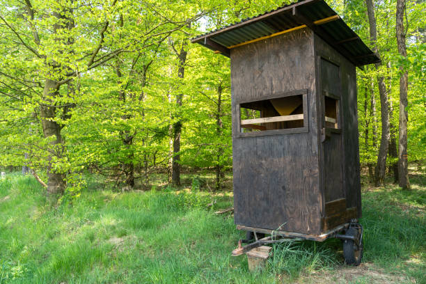 istock Hunter hideout on a trailer in the forest 1922979394