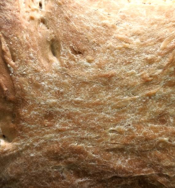istock Close-up of Warm Homemade Bread Crust 1922979429