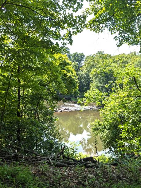 istock Summer Scenery in Southeastern Pennsylvania 1922993026