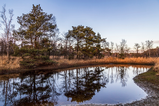 Nature reserve - Appel estate, near the village of Voorthuizen on the Veluwe.
