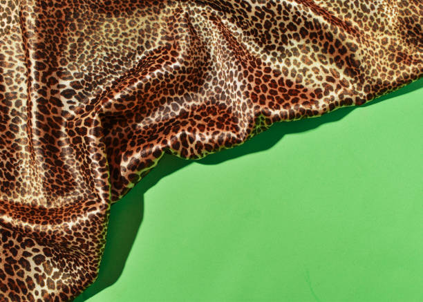 istock African fashion style 1923029974