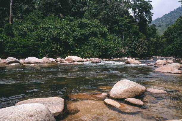 istock Beautiful scenic river flowing at Sungai Kampar, Gopeng, Perak 1923035175