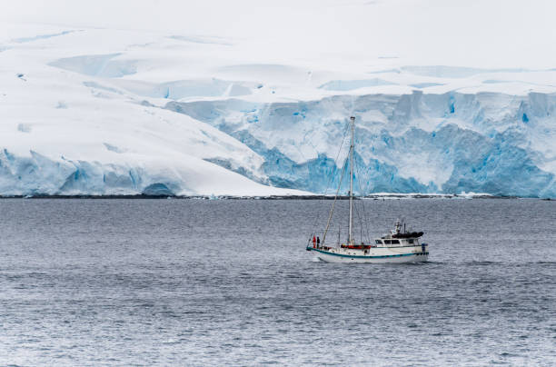 istock Small Sailing Yacht in Antarctic Waters 1923043059